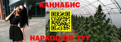 шишки Краснознаменск