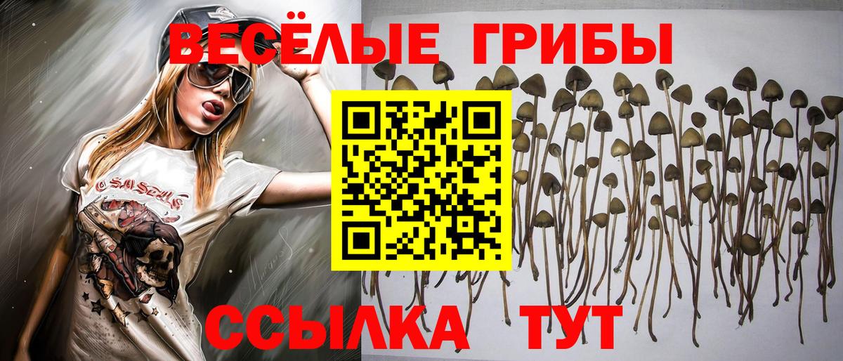 Псилоцибиновые грибы Psilocybe  наркотики  Карталы  Псилоцибиновые грибы Psilocybe  Вход с VPN 