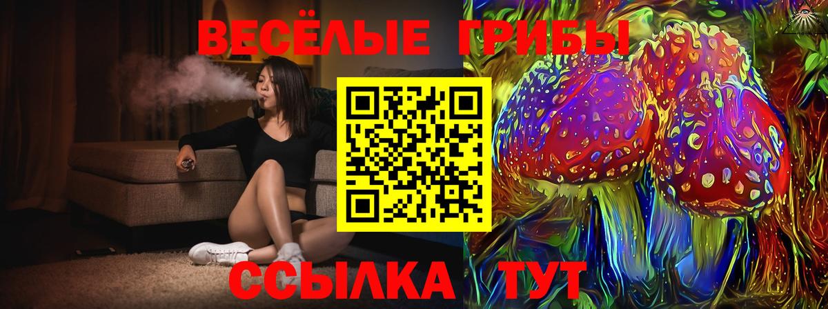 Галлюциногенные грибы прущие грибы Карталы