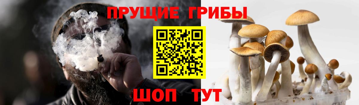 Кодеин  LSD-25  МЕФ кристаллы  Вход с VPN  ГАШИШ  Карталы  МЕТ 